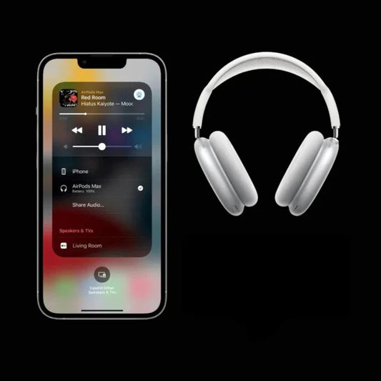 AnythingMAX with ANC